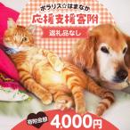 浜中町への寄付（返礼品なし）