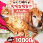 浜中町への寄付（返礼品なし）