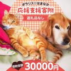 浜中町への寄付（返礼品なし）