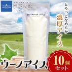 ふるさと納税 天塩町 ウーノアイス 10個セット