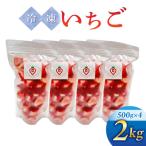 ふるさと納税 東御市 【信州ファーム田口】カット冷凍いちご(とちおとめ、やよいひめ混在)2kg(500g×4袋)
