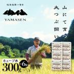 新米 キューブ米 6個