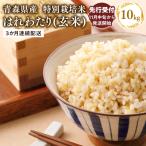 ふるさと納税 平川市 【令和7年産 配送時期_2025年11月中旬〜】3ヶ月定期便特別栽培米 はれわたり玄米10kg