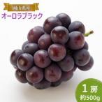 ぶどう オーロラブラック 1房 約500g