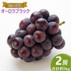 ぶどう オーロラブラック 2房 合計約1kg