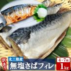 ふるさと納税 普代村 【訳あり】 さば 北三陸産 無塩 鯖フィレ 半身 1kg (4〜7枚入) 【真空パック入り】 サバ
