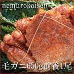 毛ガニ650g前後×1尾 C-57016