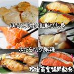 ほたて貝柱 紅鮭切り身 まだら切り身4種