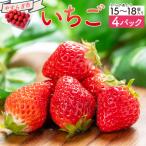 おまかせ 苺 4パック