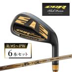 CBRブラックプレミアアイアン 6本セット