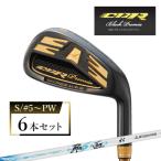 CBRブラックプレミアアイアン 6本セット