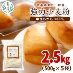 東 強力粉 小麦粉 ゆきちから 2.5kg