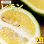 レモン 2kg