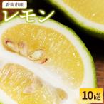 レモン 10kg