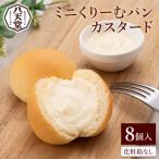 ミニくりーむパンカスタード 8個入