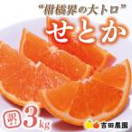 先行受付 訳あり せとか 3kg