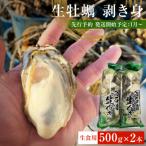 ふるさと納税 石巻市 【先行受付】生牡蠣 牡蠣 生食用 かき剥き身 500g 2本入 水無し 生産者直送 かき 生食 魚介
