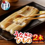 珍しい ウナギのひものa15-647
