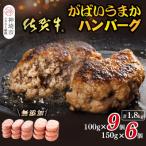 ふるさと納税 神埼市 佐賀牛がばいうまかハンバーグ(100g×9個+150g×6個)(H118103)