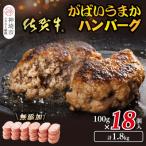 ふるさと納税 神埼市 佐賀牛がばいうまかハンバーグ(100g×18個)(H118104)