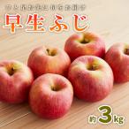 ひと足お先に旬をお届け 早生ふじ 秀品 約3kg