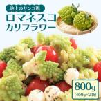 冷凍カットロマネスコカリフラワー 400g×2袋