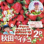 秋田のイチゴ2P