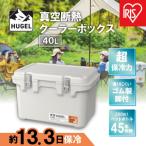 ふるさと納税 角田市 HUGEL　真空断熱クーラーボックス　40LVITC-40ホワイトアッシュ