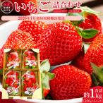 ショッピングふるさと納税 いちご ふるさと納税 角田市 JAみやぎ仙南/宮城県角田市産いちご　にこにこベリー・とちおとめ詰合　合計約1kg:250g×4P