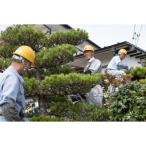 空き家管理作業C 見回り 報告 簡易作業 約5時間