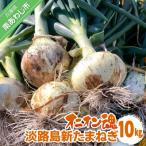 ショッピングふるさと納税 玉ねぎ ふるさと納税 南あわじ市 【オニオン魂】 淡路島新たまねぎ　10kg　◆配送3月上旬〜