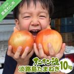 fu.... налог юг ... город [oni on душа ] Awaji Island лук репчатый 10kg * рассылка 6 месяц сверху .~ следующий год 2 конец месяца 