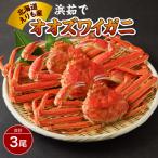 浜茹でオオズワイガニ3尾