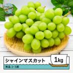 ふるさと納税 大石田町 【先行予約】 ぶどう シャインマスカット 令和8年産 2026年産 葡萄 約1kg 2~3房