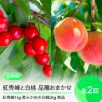 ふるさと納税 大石田町 【2回定期便】さくらんぼ 紅秀峰 1kg 柔らかめの白桃 2kg 品種おまかせ 桃 2025年産