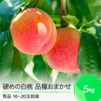 ふるさと納税 大石田町 桃 もも 硬めの白桃5kg 品種おまかせ 2025年度産 ry-mohth5000