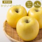 用シナノゴールド約3kg 規格 青森りんご