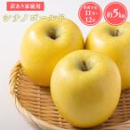 シナノゴールド約5kg 青森りんご りんご