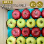 サンふじ ぐんま名月 詰め合わせ約5kg
