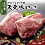 ふるさと納税 米沢市 天元豚  豚肉 ブロック肉 ( 豚肩ロース ) 4kg ( 約2kg×2袋 )