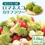 冷凍カットロマネスコカリフラワー 400g×4袋
