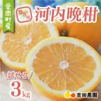 ふるさと納税 愛南町 