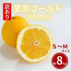 ふるさと納税 愛南町 