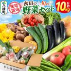 世界遺産 白神山地の自然で採れた旬の野菜詰め合わせ
