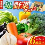 野菜セット 産直メロス 旬の野菜詰め合わせ