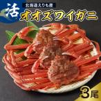 活オオズワイガニ3尾