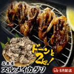 ふるさと納税 石巻市 訳あり 石巻産スルメイカゲソ 2kg 8月配送 冷凍 国産 いか 下足 おつまみ ゲソ天 おかず