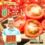 3ヶ月連続 よしよし畑 中玉トマト 計約3kg
