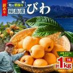 ふるさと納税 鹿児島市 旬の朝採り! 鹿児島 桜島産びわ 1箱(訳あり品) K343-002