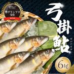 2026年8月上旬頃から発送 幻の弓掛鮎